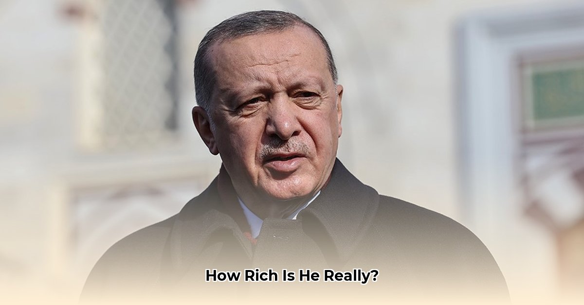 erdogan-net-worth